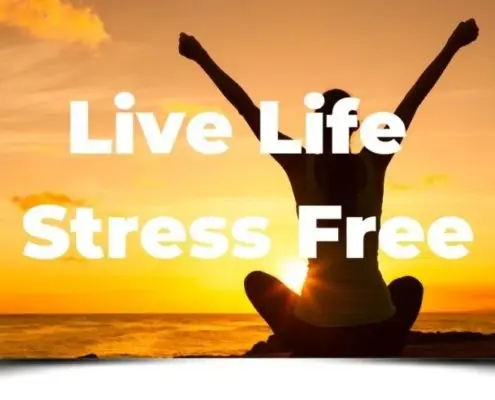 Live Life Stress Free
