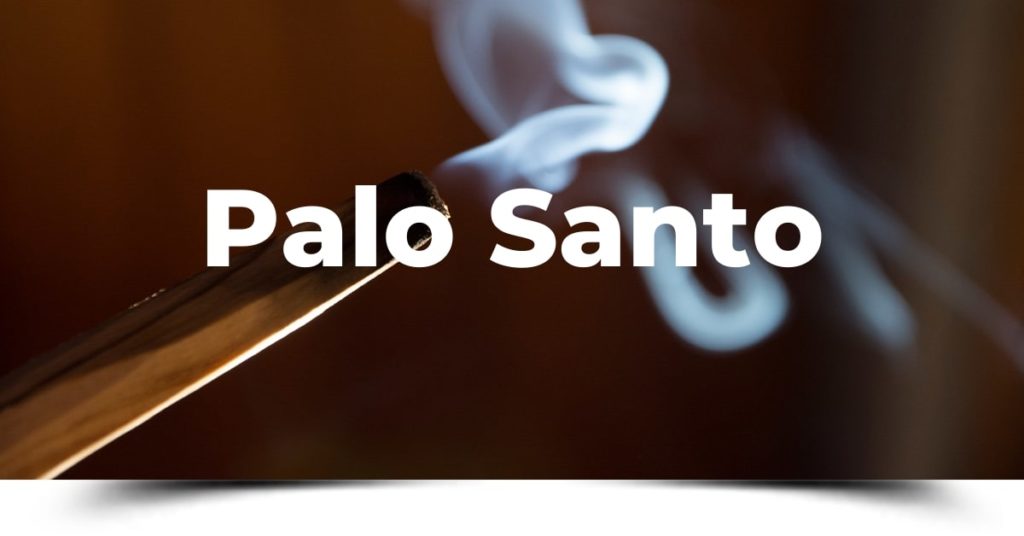 Palo Santo Uses and Benefits – Ceremoni