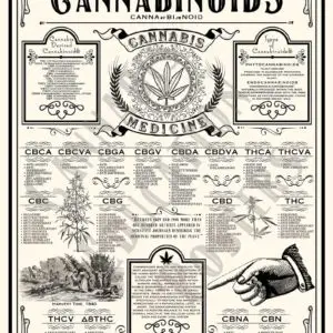Cannabinoid Education Poster