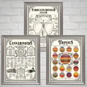 Cannabis Education Poster Bundle