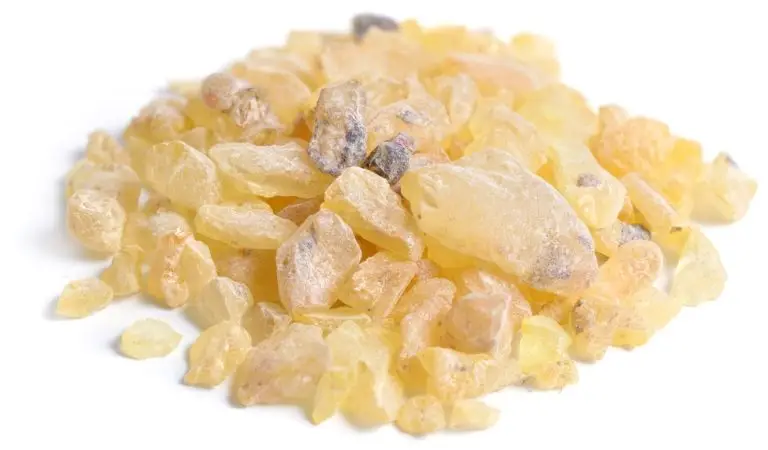 copal resin
