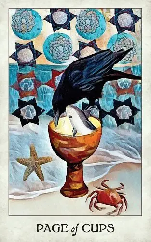 instant-karma-asheville-crow-tarot-4.jpg