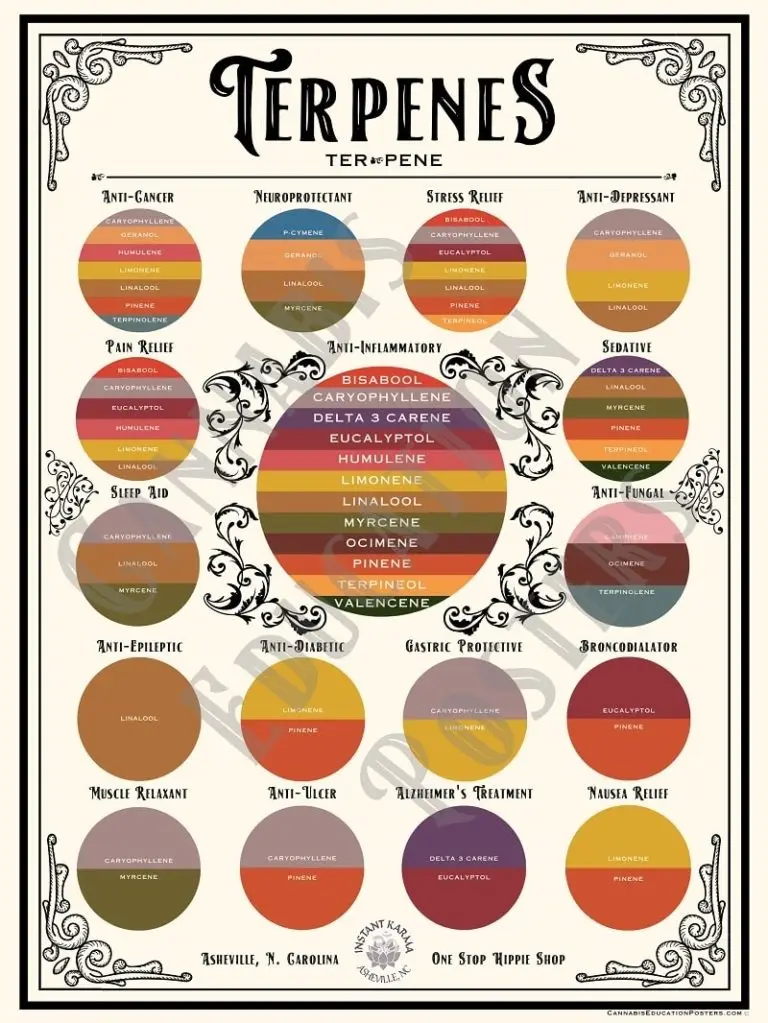 Terpenes Education Poster