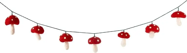 71NSxWXaSbL._AC_SL1500_