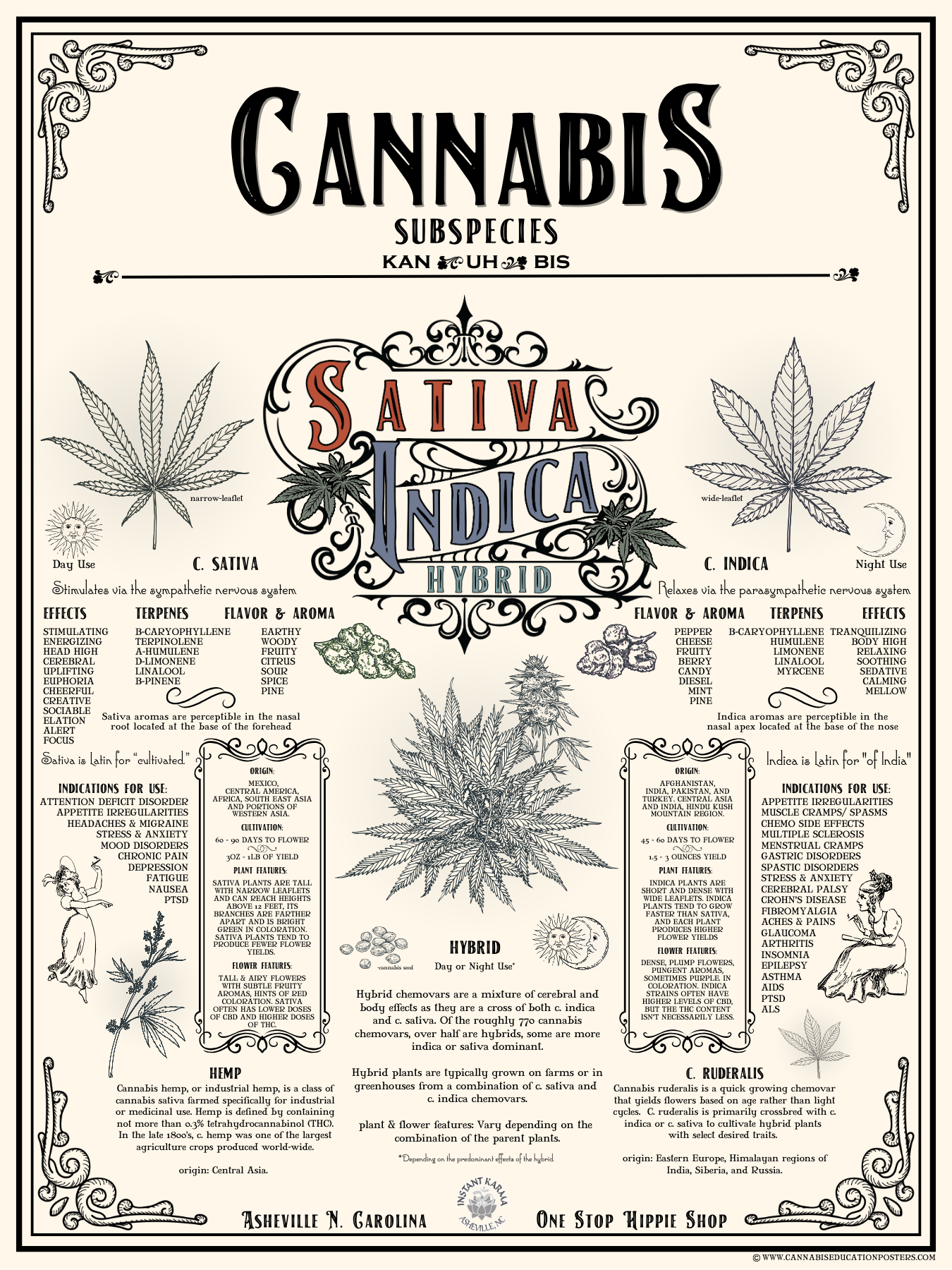 Cannabis Subspecies Education Poster