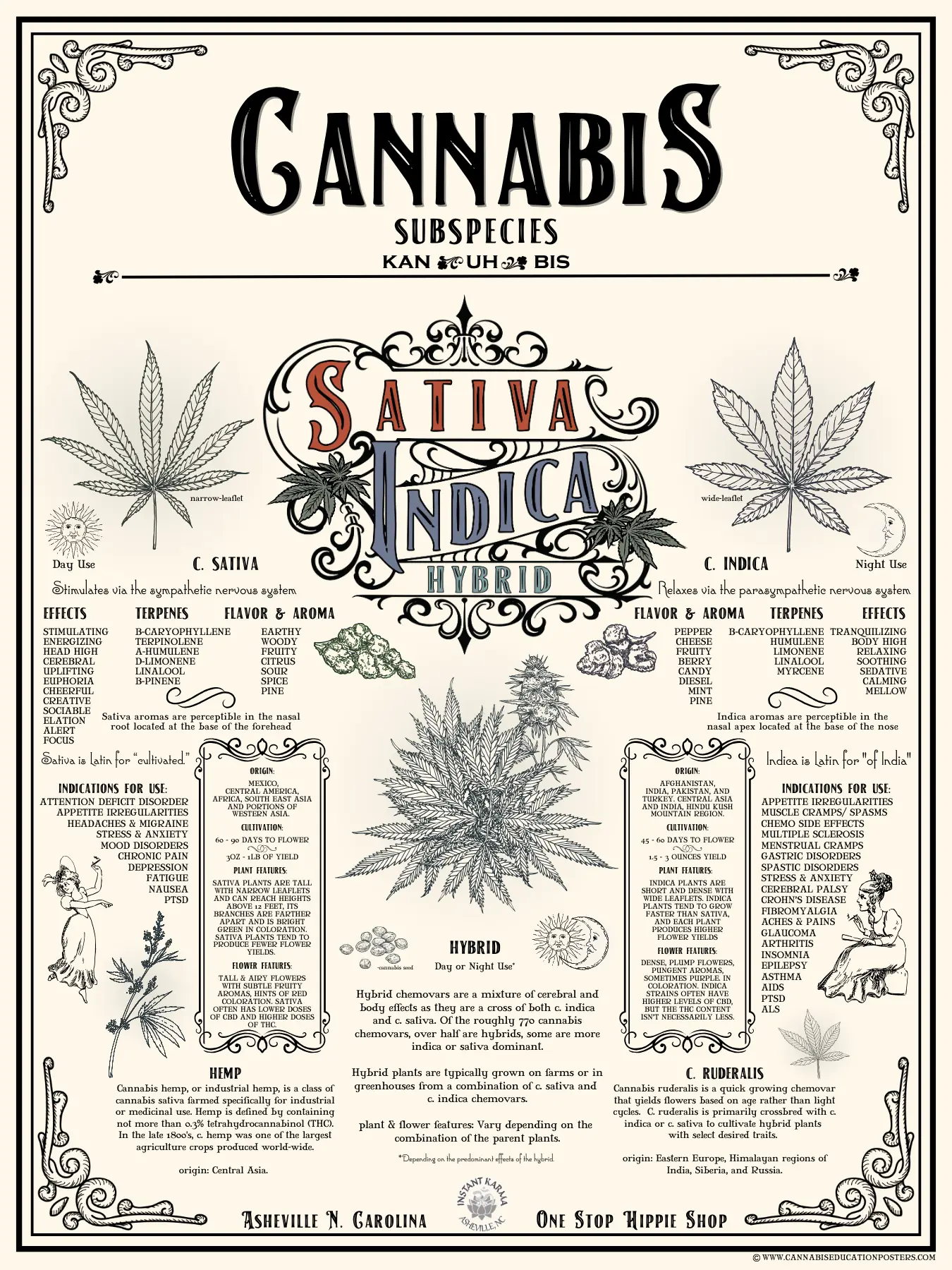 Cannabis Subspecies Education Poster