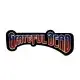 Red and Blue Grateful Dead Iron-on Patch