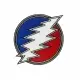 Stealie Bolt Grateful Dead Iron-on Patch