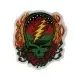 Great Pyramid Stealie Grateful Dead Iron-on Patch