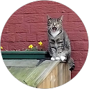 Beth Butler profile picture