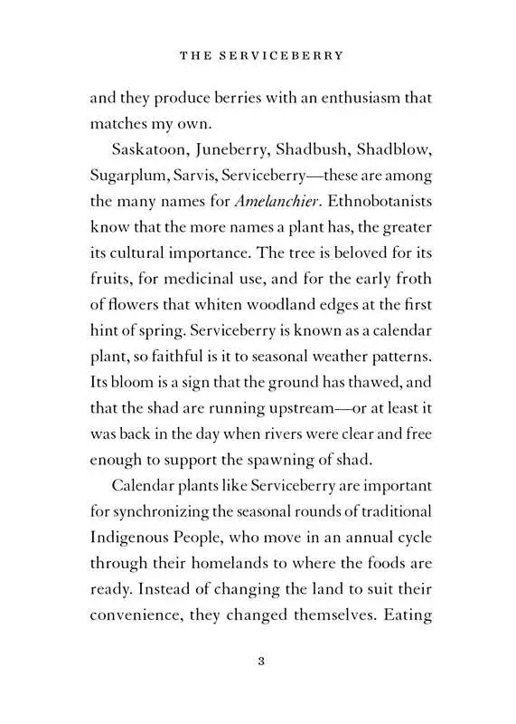 Serviceberry 5