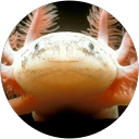 Hilary Dee profile picture