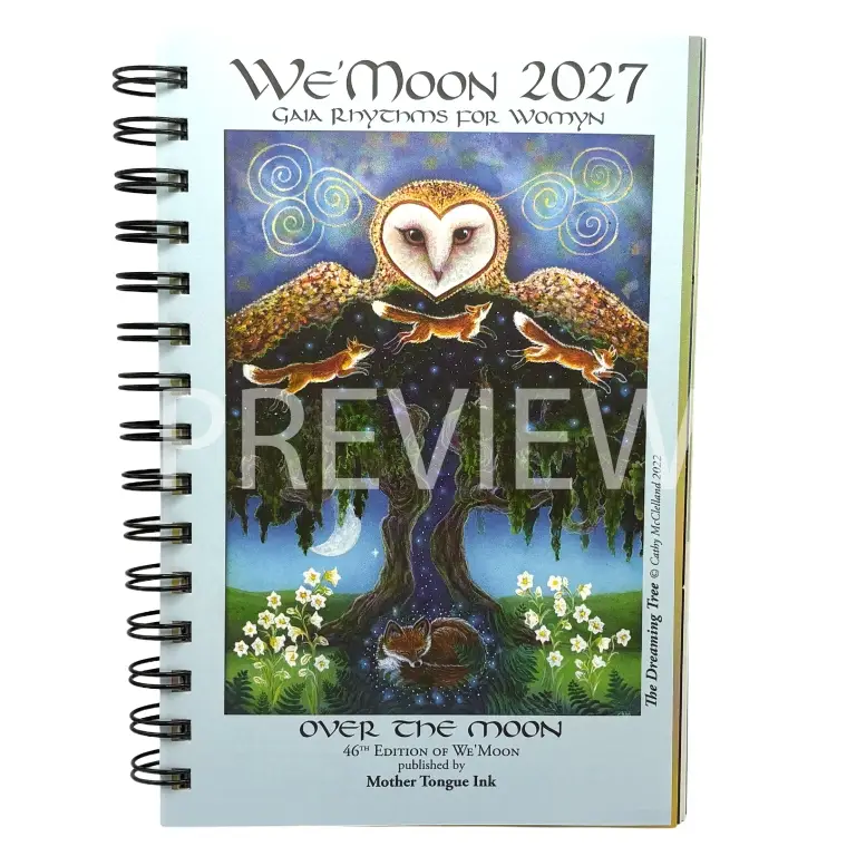 We'Moon 2027 Planner-02