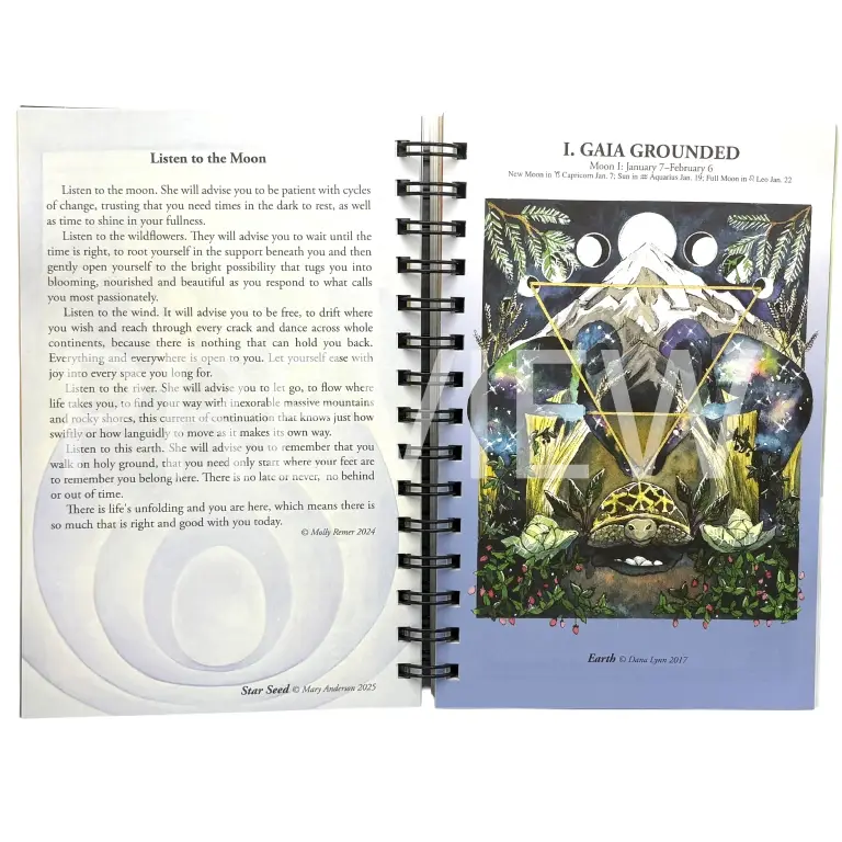 We'Moon 2027 Planner-04